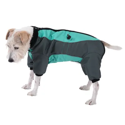 Hund bär en grå-turkos overall med dragkedja och elastiska muddar. Produkten visar passform och design på hundkläderna.