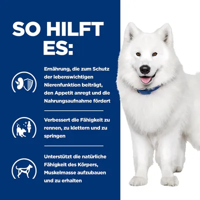 So hilft es: Ernährung schützt Nierenfunktion, regt Appetit an, verbessert Fähigkeit zu rennen, klettern, springen und unterstützt Muskelaufbau. Weisser Hund mit blauem Halsband sichtbar.
