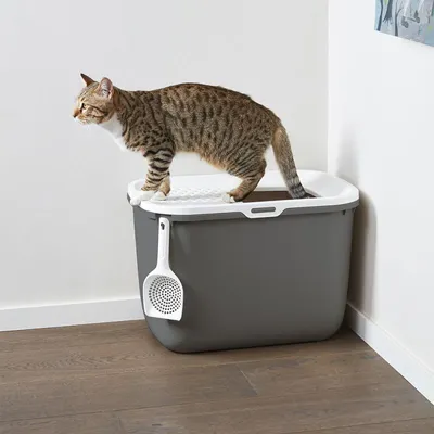 Grijze kattenbak met wit deksel en schepje aan de zijkant, kat staat bovenop het deksel. Materiaal: kunststof.
