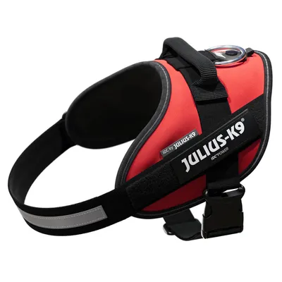 Rotes Julius-K9 IDC-Powergeschirr mit schwarzem Gurt, reflektierendem Streifen und Metallring.