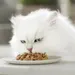 Gourmet Perle Wet Cat Food + 12 x 57g Gourmet Wet Cat Food Free! *