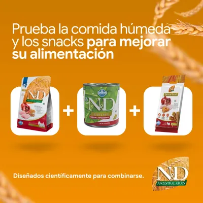 N&D Ancestral Grain pienso seco, N&D Prime comida húmeda y N&D Dental Treat. Desarrollados científicamente para combinarse y ofrecer una mejor nutrición.