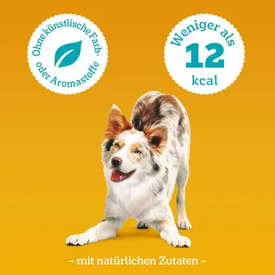 Pedigree Sa Récompense pour chien