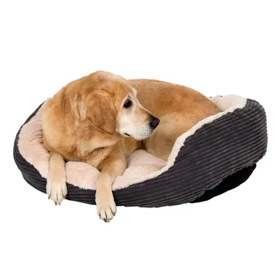 Koira makaa harmaassa, uritetussa koiranpedissä, jossa on pehmeä, beige pehmuste.