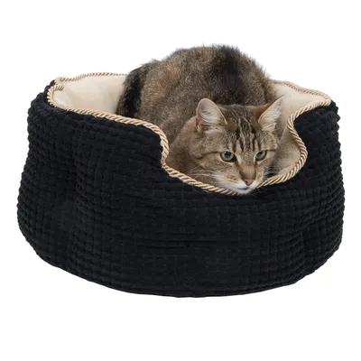 Braun getigerte Katze liegt in einem schwarzen, gepolsterten Haustierbett mit beigem Innenfutter und geflochtenem Rand.