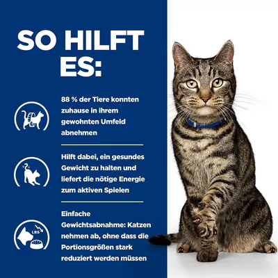 So hilft es: 88 % der Tiere konnten zuhause abnehmen. Hilft, ein gesundes Gewicht zu halten und Energie für aktives Spielen zu liefern. Katzen nehmen ab ohne starke Portionsreduktion.