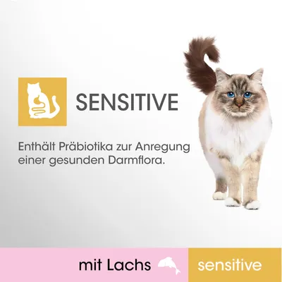 SENSITIVE kissanruoka lohella. Sisältää prebiootteja edistämään tervettä suolistoflooraa.