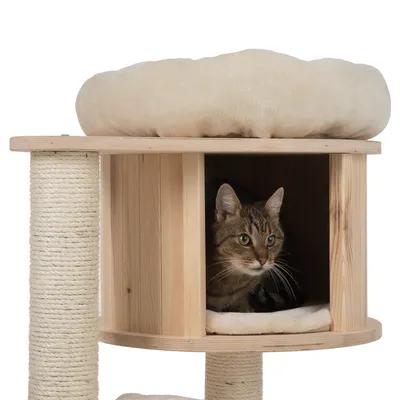 Cat tree made of wood with sisal-wrapped posts, padded top lying surface, and cave with cat inside.
