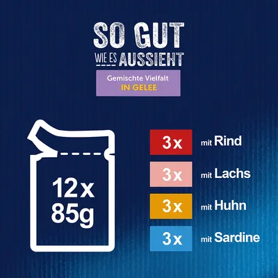 Gemischte Vielfalt in Gelee: 12x85g, 3x mit Rind, 3x mit Lachs, 3x mit Huhn, 3x mit Sardine.