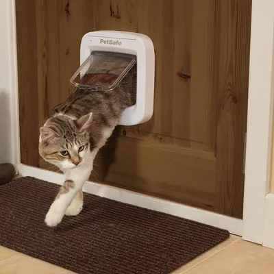 Cat using a white PetSafe pet door installed in a wooden door, demonstrating how the product allows pets to move through doors independently.
