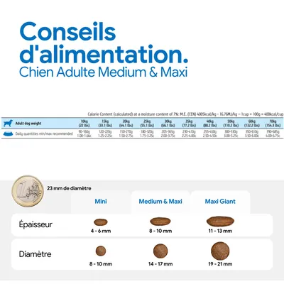 Recommandation d'alimentation pour Chien Adulte Medium & Maxi : quantités journalières selon le poids, tailles et épaisseurs des croquettes pour Mini, Medium & Maxi, Maxi Giant avec indications de diamètre.