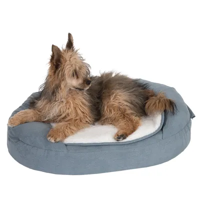 Hund liegt auf einem ovalen, blauen Hundebett mit weisser Liegefläche.