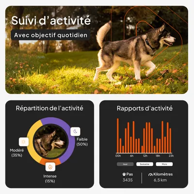 Surveillance de l'activité avec objectif quotidien, diagramme de répartition de l'activité : modérée 35 %, intensive 15 %, faible 50 %. Rapports d'activité avec 3 435 pas et 6,5 km. Surveillance de l'activité avec objectif quotidien, diagramme de répartition de l'activité : modérée 35 %, intensive 15 %, faible 50 %. Rapports d'activité avec 3 435 pas et 6,5 km.
