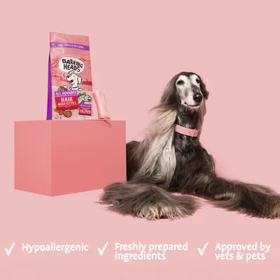 Pet food bag with a grooming brush and a long-haired dog beside it. Text highlights: hypoallergenic, freshly prepared ingredients, approved by vets and pets.