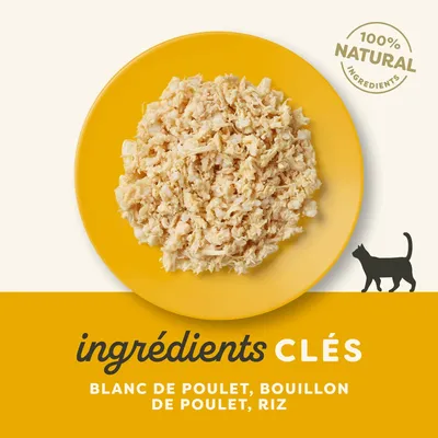 Paquet économique Applaws Cat Natural au bouillon 24 x 70 g