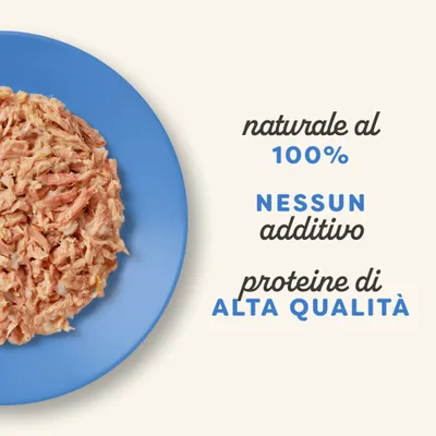 Applaws Cat Natural Selezione di Pesce in Brodo 24 x 70 g - Selezione di Pesce: Tonno, con Salmone, con Acciughe, con Orata Applaws Cat Natural Selezione di Pesce in Brodo 24 x 70 g - Selezione di Pesce: Tonno, con Salmone, con Acciughe, con Orata