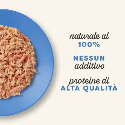 Applaws Buste in Brodo Pacco misto 6 x 70 g