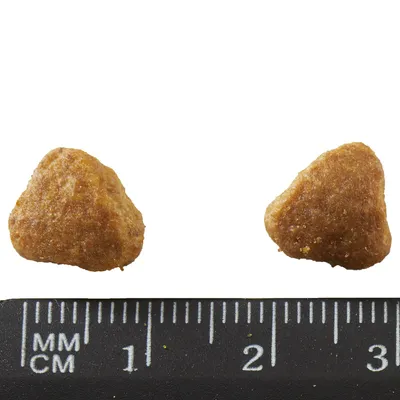 Two triangular dry pet food kibbles shown above a black ruler with millimetre and centimetre markings, indicating kibble size is about 1.5 cm each side.