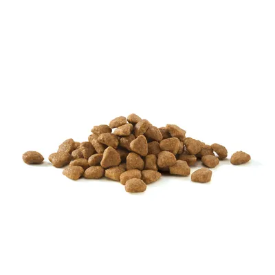 Pile of dry brown kibble pieces on a white background, no visible packaging or branding