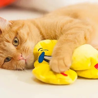 Red cat playing with yellow plush toy featuring a smiling face.