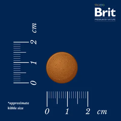 Brit Premium by Nature Junior Large Breed csirke