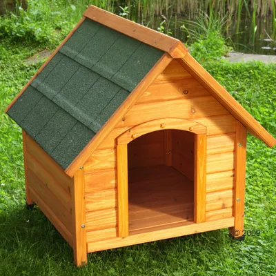 Wooden dog kennel with pitched green shingle roof and open doorway, shown outdoors on grass. No visible brand or text.