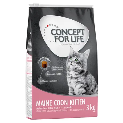 Concept for Life Maine Coon Kitten, sucha karma dla kociąt Maine Coon w wieku 4-14 miesięcy, 3 kg. Special Formula X: colostrum wzmacnia odporność, dopasowane krokiety, zdrowa skóra i lśniąca sierść.