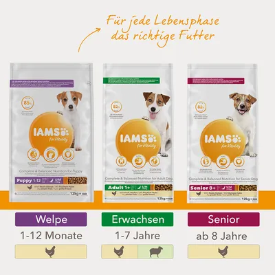 Kolme IAMS for Vitality -koiranruokapakkausta: Puppy 1–12 kk, Adult 1+ 1–7 v, Senior 8+ alkaen 8 v. Teksti saksaksi: Für jede Lebensphase das richtige Futter. Pakkauskoot 12 kg.