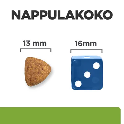 Nappulakoko: kolmionmuotoinen nappula 13 mm, vertailuna sininen noppa 16 mm. Teksti: NAPPULAKOKO, 13 mm, 16 mm.