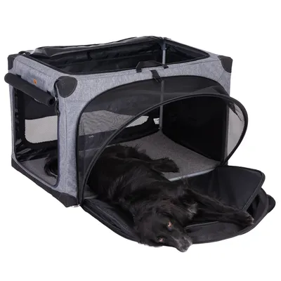 Transportbox mit grauem Stoff und Netzfenstern, geöffnetes Vorderteil. Schwarzer Hund liegt entspannt auf der herausnehmbaren Matte im Inneren.