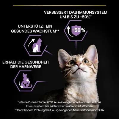 Verbessert das Immunsystem um bis zu +50%, unterstützt ein gesundes Wachstum, erhält die Gesundheit der Harnwege. Interne Purina-Studie mit Kätzchen, hoher Proteingehalt und DHA.