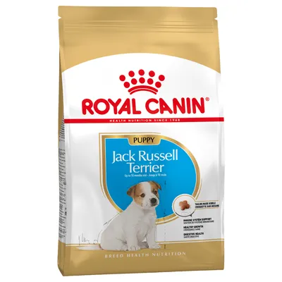 Royal Canin Puppy Jack Russell Terrier, bis zu 10 Monate alt. Unterstützt Immunsystem, gesundes Wachstum und Verdauung. Maßgeschneiderte Kroketten.