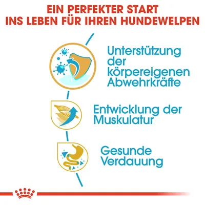 Ein perfekter Start ins Leben für Ihren Hundewelpen: Unterstützung der körpereigenen Abwehrkräfte, Entwicklung der Muskulatur, gesunde Verdauung.