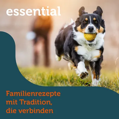 essential. Familienrezepte mit Tradition, die verbinden.