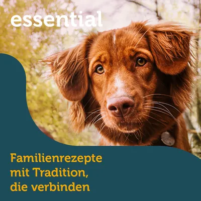 Text: Familienrezepte mit Tradition, die verbinden. essential.