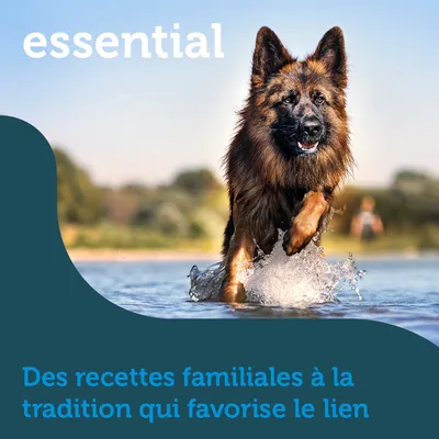 essential. Des recettes familiales à la tradition qui favorise le lien