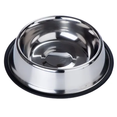 Stainless steel feeding bowl with a black non-slip rubber base, shown empty and ready for use.