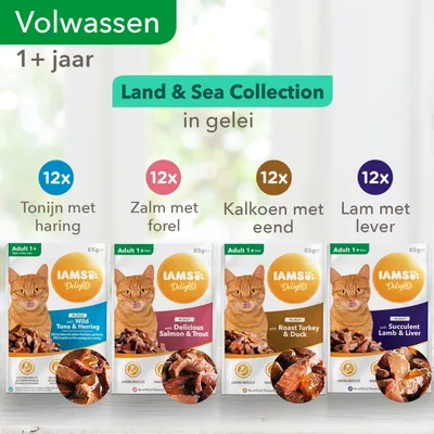 IAMS Delights Land & Sea Collection in gelei voor volwassen katten 1+ jaar: 12x tonijn met haring, 12x zalm met forel, 12x kalkoen met eend, 12x lam met lever. Verpakking 85g.