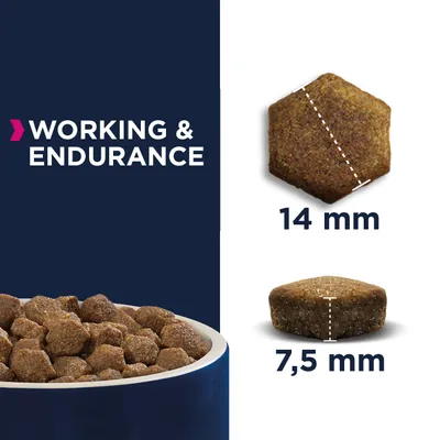Ração seca com texto 'WORKING & ENDURANCE'. Mostra croquete hexagonal com 14 mm de diâmetro e 7,5 mm de altura.