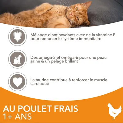 Mélange d'antioxydants avec vitamine E, oméga-3 et oméga-6, taurine. Au poulet frais 1+ ans. Pour système immunitaire, peau saine, pelage brillant, muscle cardiaque.