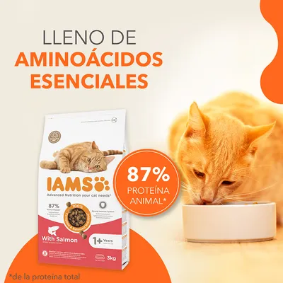 Pienso para gatos IAMS con salmón, 87 % proteína animal, lleno de aminoácidos esenciales. Imagen de gato comiendo y paquete de 3 kg visible. Para gatos mayores de 1 año.