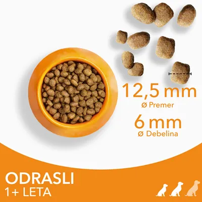 Briketi za odrasle pse, premer 12,5 mm, debelina 6 mm. Oznaka: ODRASLI 1+ LETA. Prikazana skleda s hrano in posamezni briketi z merami.