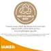 10 kg IAMS Advanced Nutrition Kitten + 709 ml Nature's Miracle Flecken- und Geruchsentferner gratis!