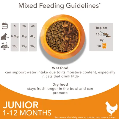 Mixed feeding guide for junior cats 1–12 months: 0.5kg 25g, 2kg 55g, 4kg 70g dry food per day; replace 16g dry with 1×85g wet food. Wet and dry food benefits described.