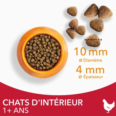 Croquettes pour chats d’intérieur 1+ ans, diamètre 10 mm, épaisseur 4 mm, présentées dans une gamelle orange et en gros plan. Illustration de croquettes à la volaille.