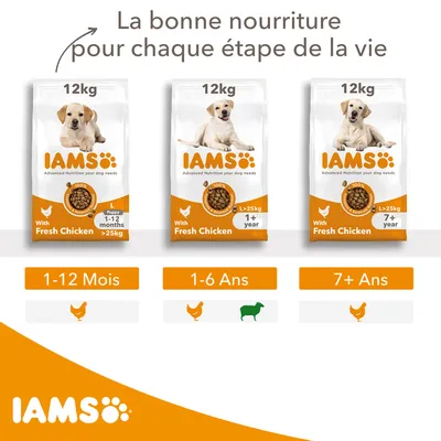 Trois sacs IAMS 12 kg pour chiens >25 kg : Puppy 1–12 mois, Adult 1+ an, Senior 7+ ans. Poulet frais indiqué sur chaque sac. Tableau âges : 1–12 mois, 1–6 ans, 7+ ans.