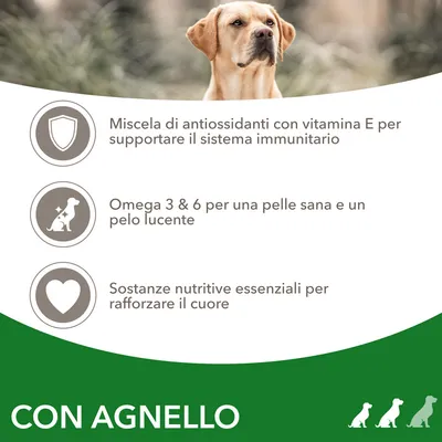 Miscela di antiossidanti con vitamina E, Omega 3 & 6 per pelle e pelo, sostanze nutritive essenziali per il cuore. Testo: CON AGNELLO.