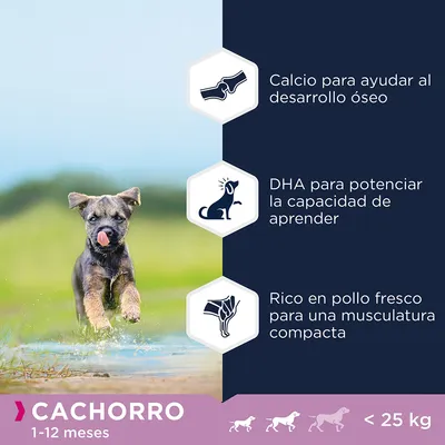 CACHORRO 1–12 meses, menos de 25 kg. Calcio para desarrollo óseo, DHA para potenciar la capacidad de aprender, rico en pollo fresco para musculatura compacta.