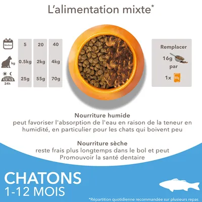 Tableau d’alimentation mixte pour chatons 1–12 mois : 0,5 kg 25 g, 2 kg 55 g, 4 kg 70 g. Remplacer 16 g de croquettes par 1 sachet 85 g nourriture humide. Conseils sur humidité et santé dentaire.