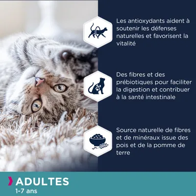 Les antioxydants soutiennent les défenses naturelles, fibres et prébiotiques pour la digestion, source naturelle de fibres et minéraux des pois et pommes de terre. Adultes 1–7 ans.